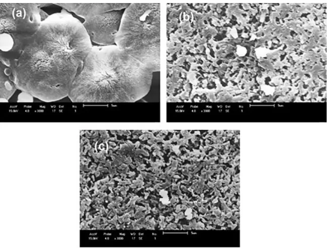 Figure 6. SEM images of the membranes surface with precipitation bath with 30% of formic acid: (a) PA6; (b) PA6 + 3% MMT and (c)  PA6 + 5% MMT