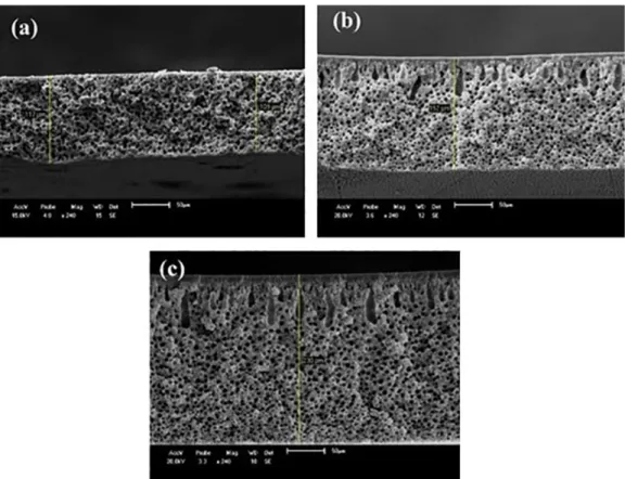 Figure 7. SEM cross-sectional images of the membranes of: (a) PA6; (b) PA6 + 3%MMT; and (c) PA6 + 5%MMT