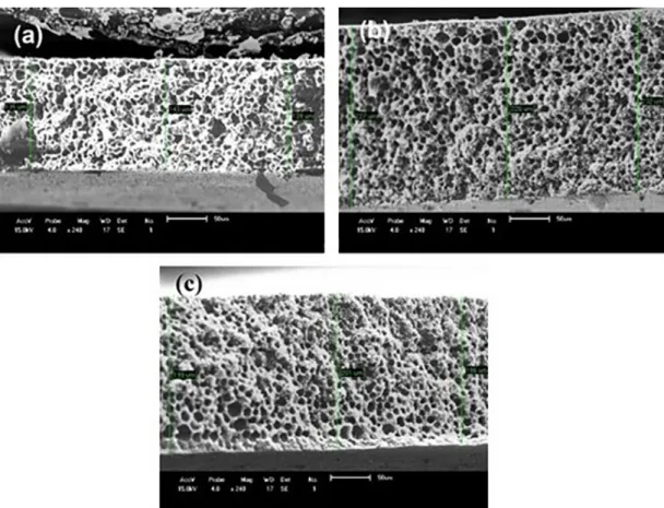 Figure 9. SEM cross-sectional images of the membranes with precipitation bath with 30% of formic acid: (a) PA6; (b) PA6 +  3%MMT and (c) PA6 + 5%MMT