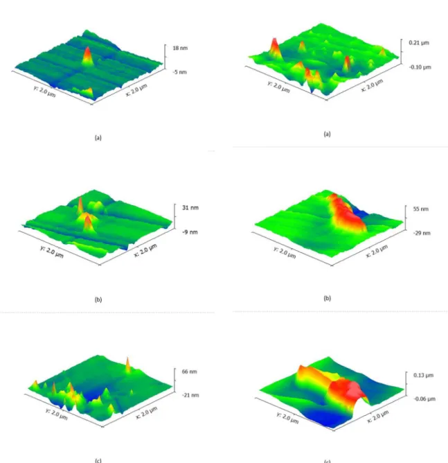 Figure 4. AFM Observations. (a) 0.075 wt.% CNT; (b) 0.15 wt.% 