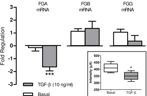 Figure 5. TGF-b reduces the fibrinogen a-chain expression in HepG2 cells. Fold regulation in Fibrinogen Alpha Chain (FGA), Beta Chain (FGB) and Gamma Chain (FGG) genes regulation in HepG2 cells after 6 hours of treatment with TGF-b (10 ng/ml)