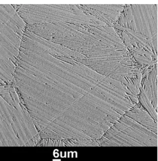 Figure 5. Rudimentary martensite microstructure of P2 sample  measured by SEM at RT