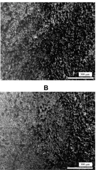 Figure 6. Photography of the electrodeposited sample prior (a)  and after (b) the eight thermal cycles shown in Figure 1 taken with  green laser light.