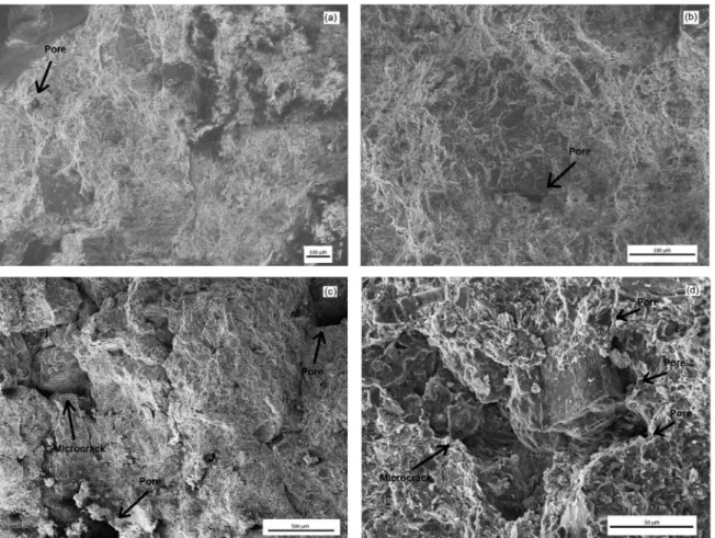Figure 8. SEM surface analysis