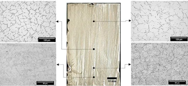 Figure 5. Columnar grains macrostructure and selected transverse microstructures showing the β-Sn morphological evolution across the  Sn-0.2wt.%Ni alloy casting