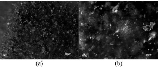 Figure 7 presents the tensile strength versus elongation  profile for the TPS binder, TPS reference and TPS PExp  samples.