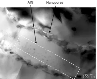 Figure 12. TEM image showing AIN and nanopores in the cryomilled  sample degassed at 350 °C for 20 h