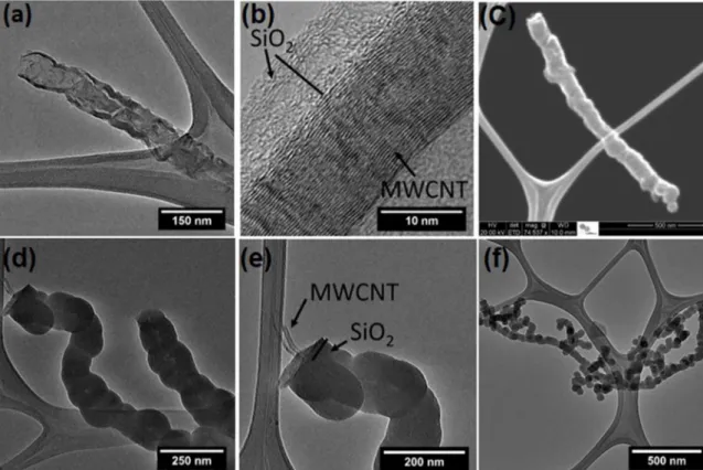 Figure 1. TEM (a) and (b) and SEM (c) images of PAH-MWCNT-SiO 2 ; TEM image (d), (e) and (f) of PSS-MWCNT-SiO 2 .