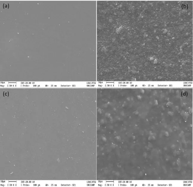 Figure 1. Scanning electron micrographs of (a) CHI; (b) 1/2 mPEG-PCL/ CHI; (c) CHI - GE; (d) 1/2 mPEG-PCL/ CHI - GE.