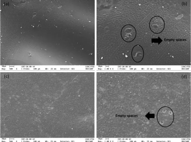 Figure 8. Scanning electron micrographs of (a) CHI-GE before antibacterial test (500x); (b) CHI-GE (1000x) after antibacterial test; (c)  1/2 mPEG-PCL/CHI-GE before antibacterial test (500x) and (d) 1/2 mPEG-PCL/CHI-GE after antibacterial test (1000x).