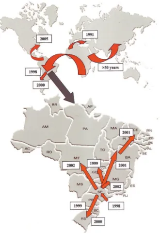Figure 1 - Migration routes for Z. indianus involved in its dispersal throughout the world, based on studies cited in the text