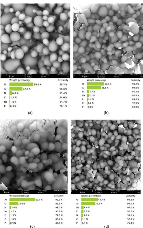 Figure 2. Particles micrographs / EDS (a) C, (b) CNaF0.05 e (d) CNaF2 10.000X, and (c) CNaF0.2 20.000X.