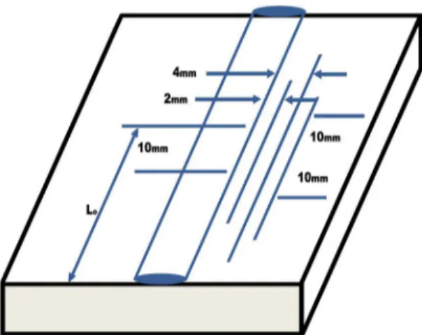 Figure 1 . Schematic diagram of test plates.