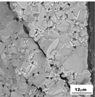 Figure 15. Fracture surface of an S sample at the compression  surface, showing a redominantly transgranular character.