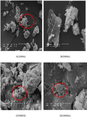 Figure 3. SEM images for 10% copper doped niobium carbide with  magnifications of (A) 1000x and (B) 5000x, highlighted regions  indicating agglomerating behavior of the powder