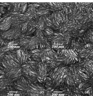 Table 2. Quantitative EDX results for undoped zinc oxide thin films prepared at optimum temperature 450°C.