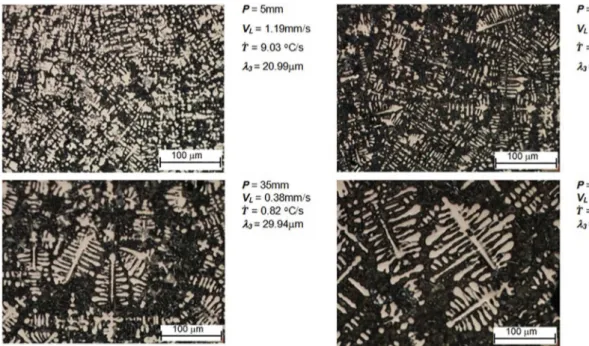 Figure 6. Photomicrographs of samples from transverse sections along the casting length.