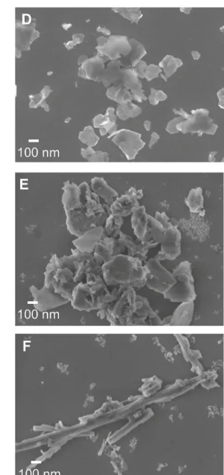 Figure 4. SEM micrographs: (A) Commercial [Mg-Al]-LDH; [Mg-Al]-LDH after adsorption of 2252.80 mg L -1  PO 4 3-  (B) and 4505.60  mg L -1  (C); as-synthesized [Zn-Al]-LDH (D); [Zn-Al]-LDH after adsorption of 2252.80 mg L -1  PO 4 3-  (E) and 4505.60 mg L -