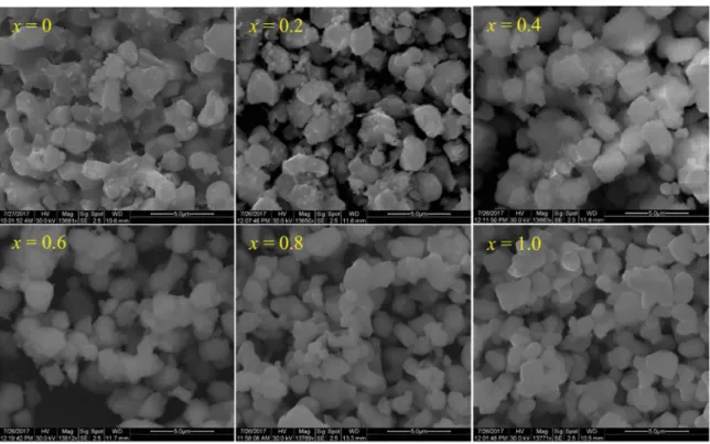 Figure 3. SEM images for all synthesized garnet samples.