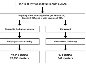 Table 2. The Clustering Results of Human FLcDNAs onto the Human Genome