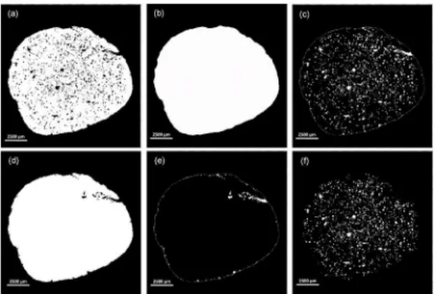 Figure 10. Pore discrimination for the 0.4X lens images: (a)  Segmentation of the solid phase; (b) ROI tracing the object border,  stretching over holes; (c) Total pores; (d) After eliminating individual  black objects surrounded by white pixels in 3D (e) 