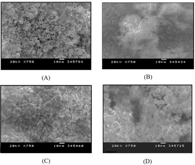 Figure 2. SEM images of 80-20 sample (A) as-sprayed and before immersion, and B, C and D, respectively, after 1, 7 and 28 days of  immersion in non-aerated and unstirred Hanks' solution without BSA.