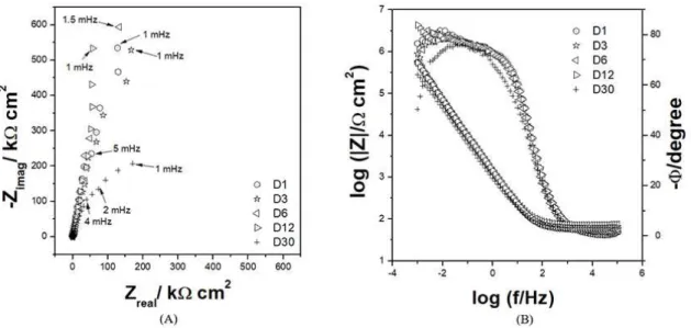 Figure 7 shows the experimental EIS diagrams for 80-20  sample immersed in Hanks' solution with 4.2 g L -1  BSA