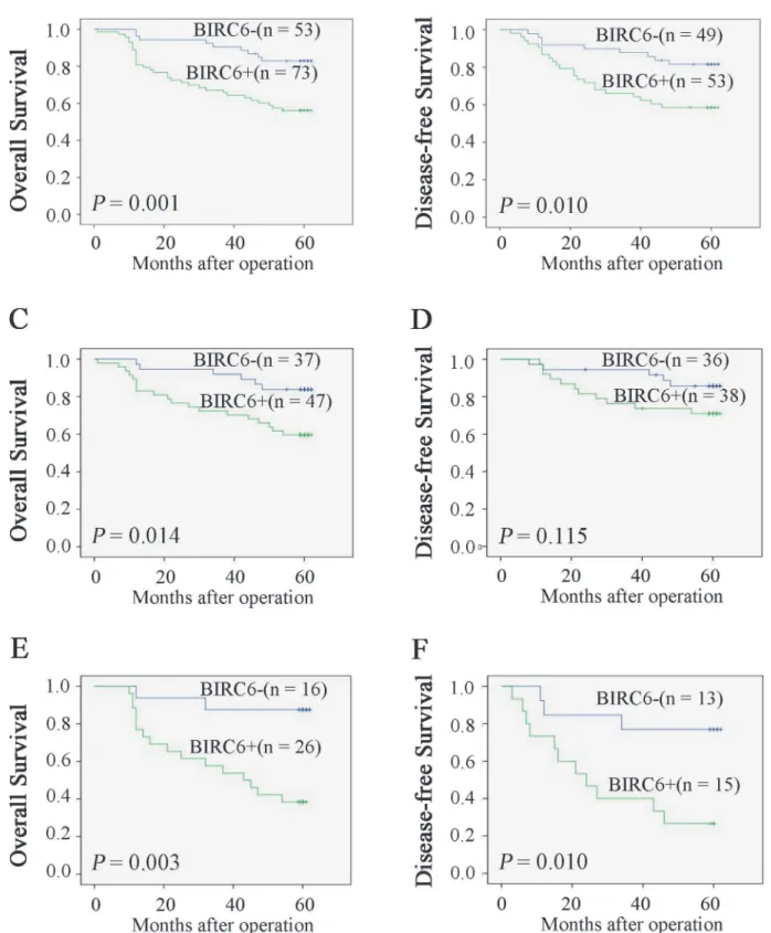 Fig 2. High expression of BIRC6 correlated with poor survival rate. Overall survival (A) and disease-free survival (B) between patients with positive and negative expression of BIRC6 were estimated using the Kaplan-Meier method and compared by the log rank