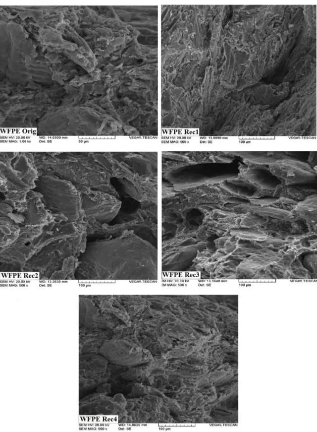 Figure 6. SEM micrographs of fractured surfaces of composites at 500 x prior to and after processing.