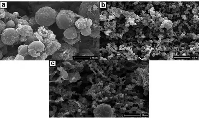Figure 1. Micrographs of the microparticles: (a) NP-1, (b) NP-2 and (c) PLGA particles (4000x magnification)