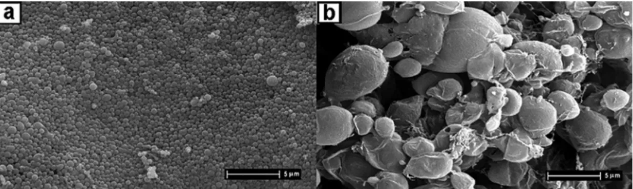 Figure 3. Micrographs of nano/microspheres: (a) NP-5 and (b) NP-3 (8000x magnification)