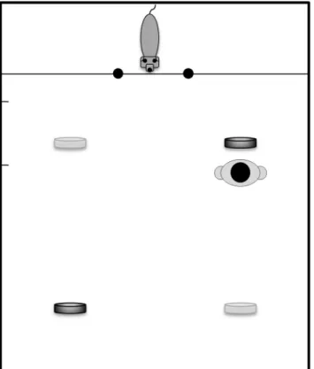 Figure 1. Arrangement of the experimental setup. From the dogs perspective, the two dishes were placed diagonally either (i.) nearby to the right and distant to the left or (ii.) nearby to the left and distant to the right