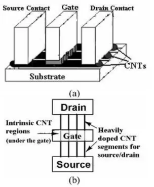 Fig. 1: Schematic Diagram of a CNTFET. (a)  Cross Sectional View[8] 