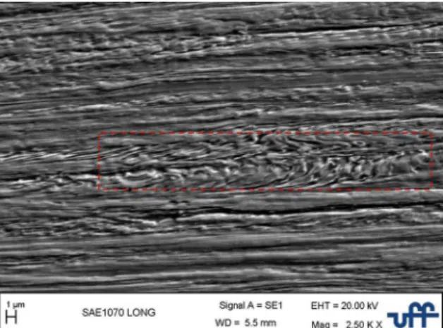 Figure 4. SEM. Longitudinal section of SAE 1070 steel cold- cold-deformed with accumulated strain of 2.52.
