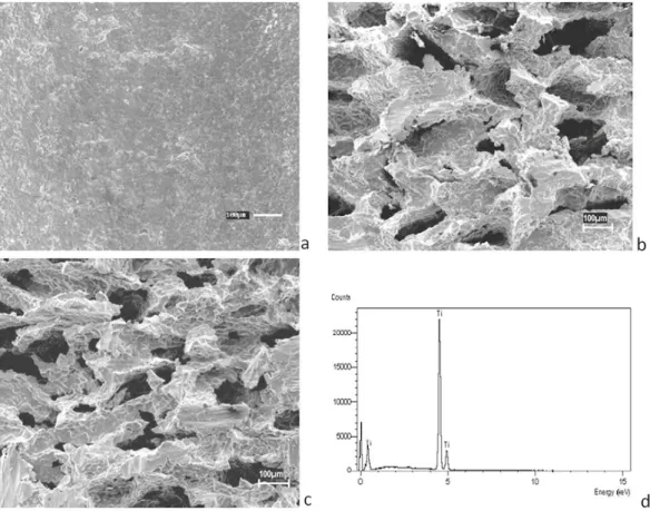 Figure 2. SEM image of pure Ti: a) dense sample; b) 30% porous sample; c) 40% porous sample; d) EDS results.