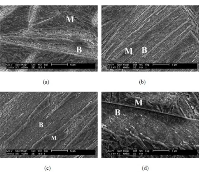 figure 3. As expected, during the austenitizing process, the prior  austenite grain size increased with increasing austenitizing  temperature, for example about 18µm at 910°C and nearly  235µm at 1200°C