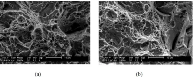Figure 9. Scanning electron micrograph (SEM) of microcrack being initiated during charpy impact testing of specimen having 49% 