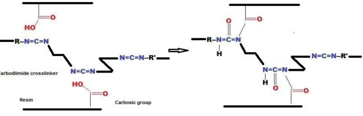 Figure 7: Reaction between polycarbodiimide and carboxic group.  