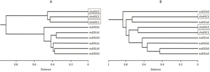Figure 2. The results of the principal component analysis of genome-wide DNA methylation status (A) and the transcriptome analysis (B)