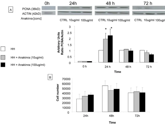 Figure 8. Evaluation of proliferation of primary human hepatocytes treated by anakinra in vitro studies