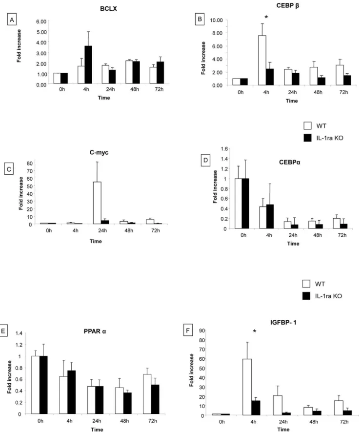 Figure 4. Expression of genes involved in liver regeneration. We analysed the expression of various genes implicated in liver regeneration (Bcl-xl, C/EBPa, C/EBPb, c-myc, IGFBP-1 and PPARa) by real-time polymerase chain reaction at various time points 0 h,