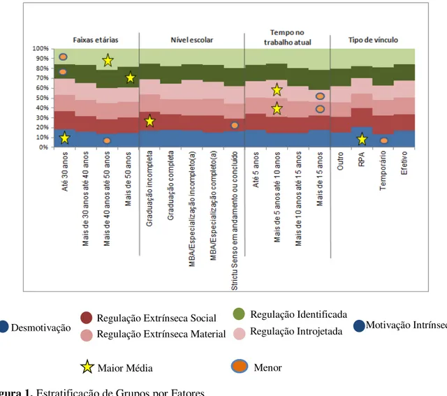 Figura 1. Estratificação de Grupos por Fatores 