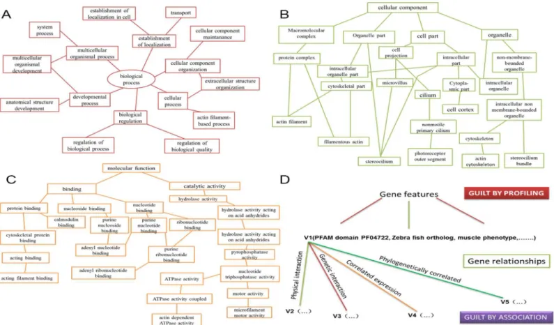 Fig 1. Guilt-by-profiling and guilt-by-association point selection method for a given function probability value calculation