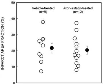 Figure 2. Echocardiographic assessment of LV function. Representative two-dimensional (A, C) and M-mode (B, D) images from vehicle- vehicle-treated (A, B), and atorvastatin-vehicle-treated (C, D) rats 4 wk after coronary occlusion
