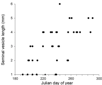 Figure 2. Seminal vesicle length of a subsample of non-necrotic male hoary bats ( Lasiurus cinereus ) found dead at wind turbines as a function of Julian day of year (from June 29 [Julian day 180] to October 27 [day 300])