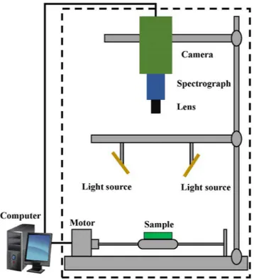 Fig. 2. Schematic diagram of the hyperspectral imaging system.