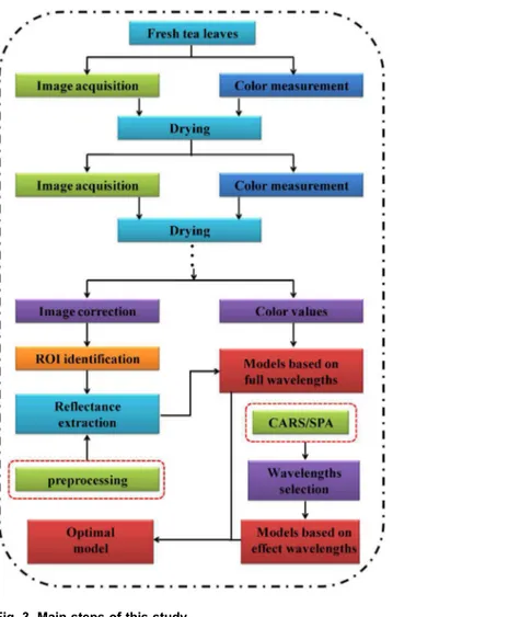 Fig. 3. Main steps of this study.