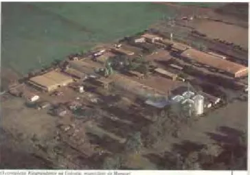 Foto nº 16 - Vista aérea da Cooperativa Riograndense da Colônia – Dezembro de 1989 - Arquivo  pessoal de Lídia B