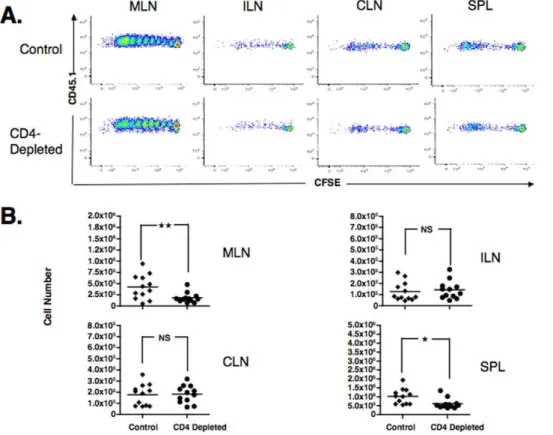 Figure 2. In vivo OT-1 CD8 + T cells proliferation to HSVova in various secondary lymphoid organs