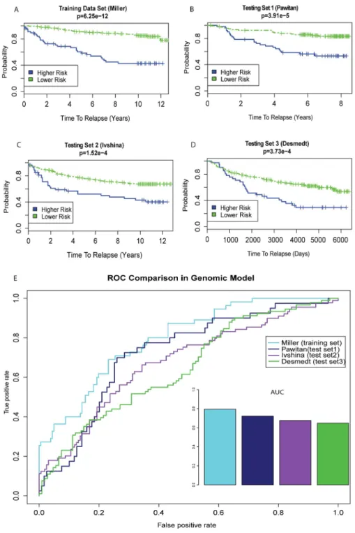 Figure 4. Prognosis performance of the pathway-based genomic model. A–D. A prognosis index (PI) is calculated from the training data set and applied to dichotomize samples in training (A) and testing data sets (B–D)